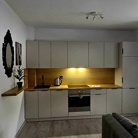 Centrum Lejlighed *
